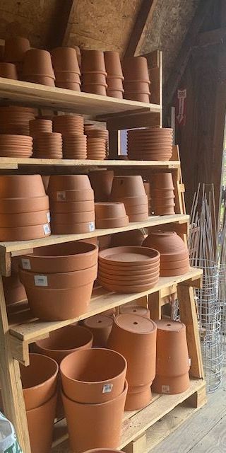 Shelfs of varied sizes of terra cotta plant containers