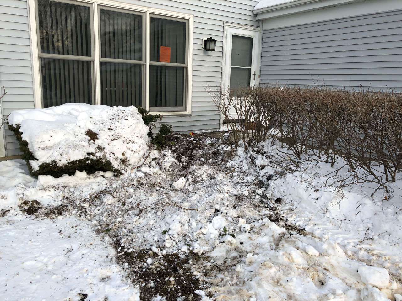 Snow-covered walkway and bushes in front of a house. Entrance obscured by snow and ice.