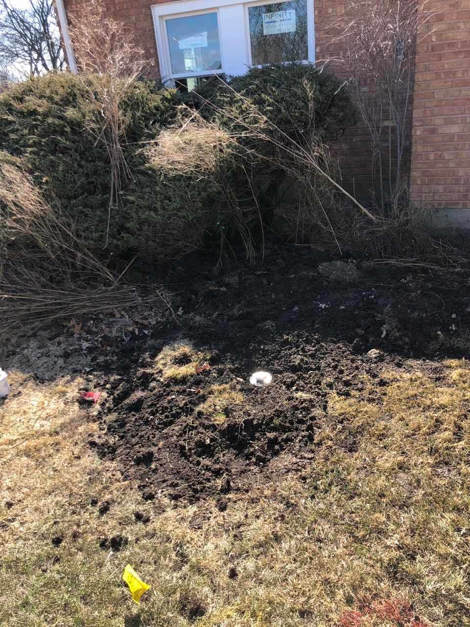 A muddy, dug-up area in front of a house, with a bush in the background. Brown grass surrounds the area.