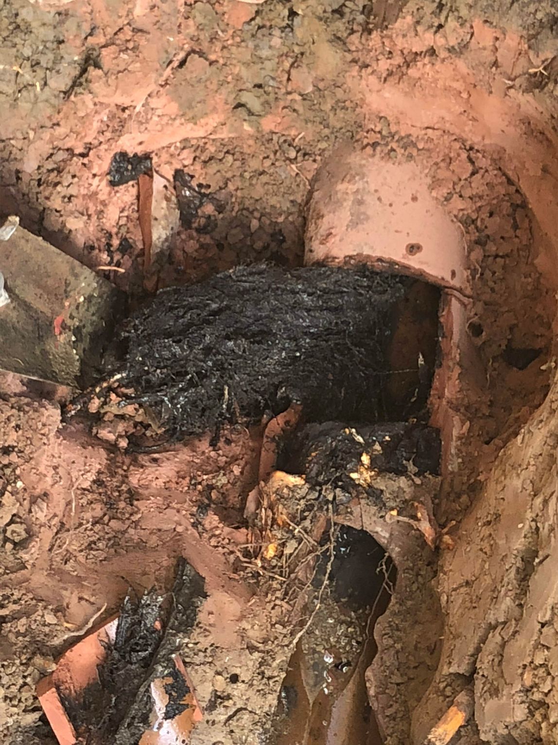 Trench with a mass of dark debris, possibly roots, surrounding a broken pipe and pieces of tile.