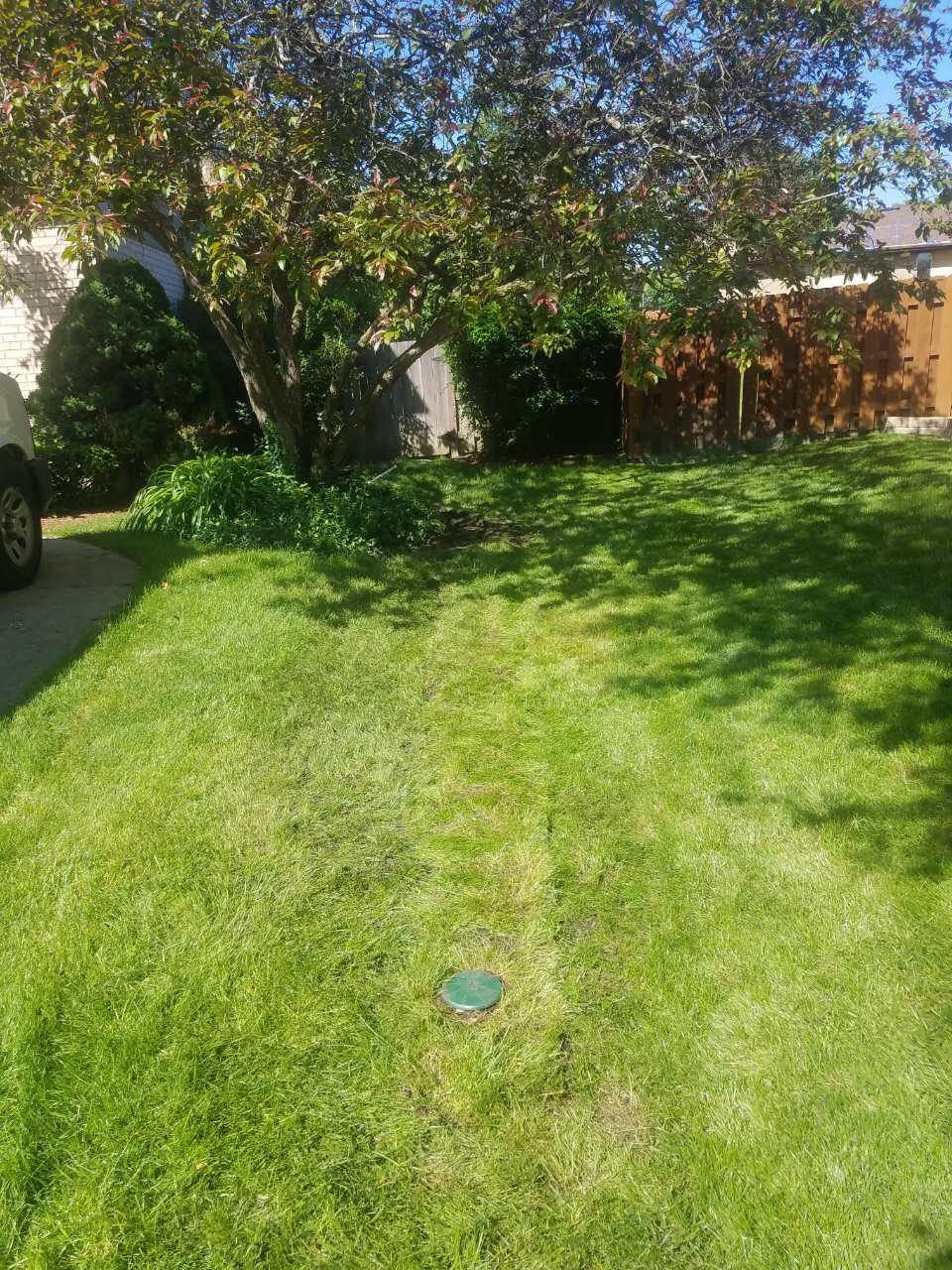 Lush green lawn with a tree and shrubs in the background. A small, round green lid is in the grass.