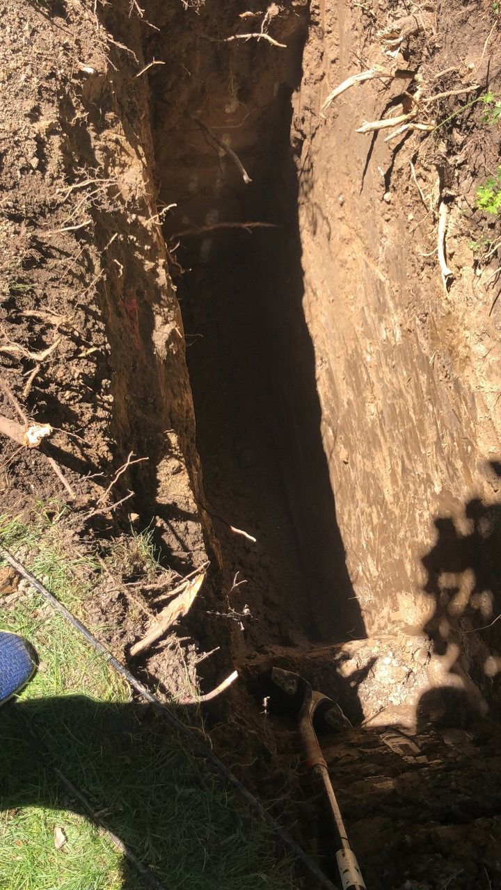 Narrow, deep trench in the earth, dug near a tree with exposed roots.