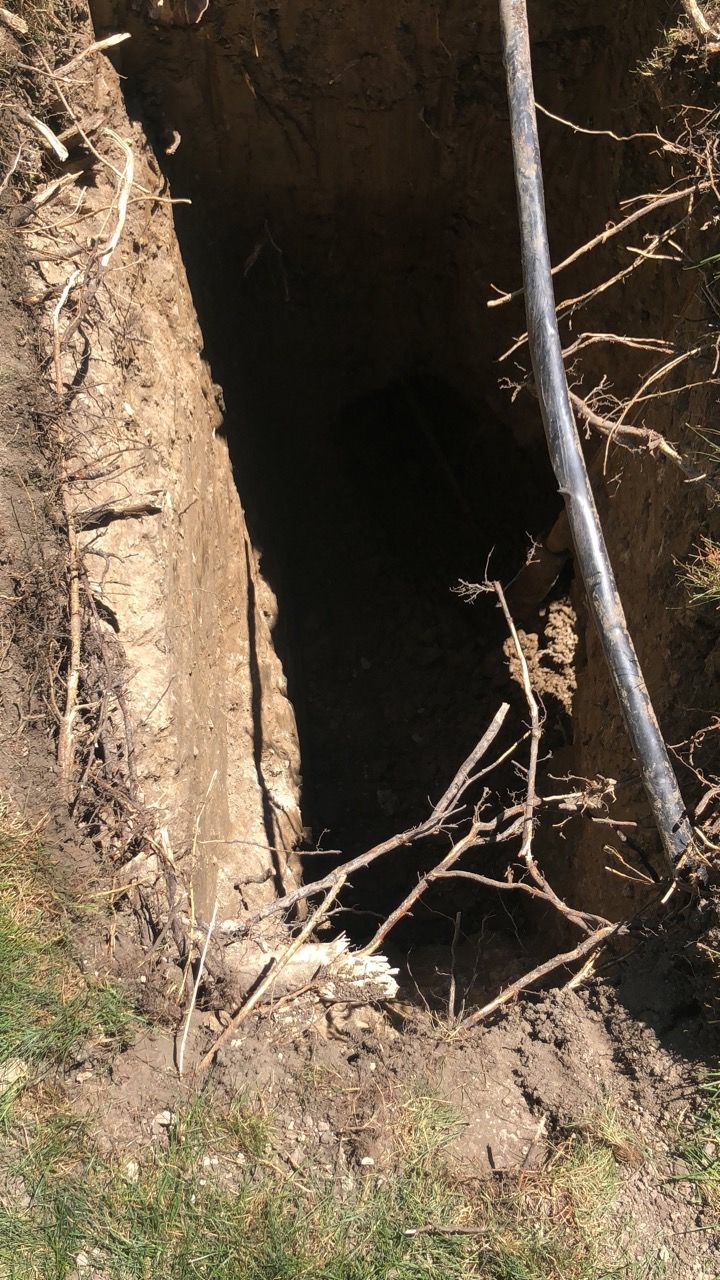 Open hole in the ground with dark interior, tree roots visible, a black cable is near the hole.