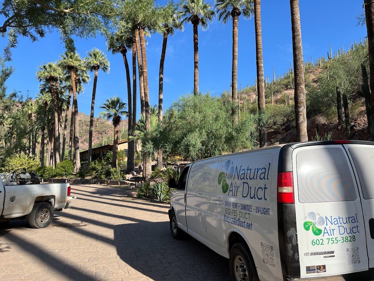 White service van parked on dirt road in front of desert landscape with palm trees.