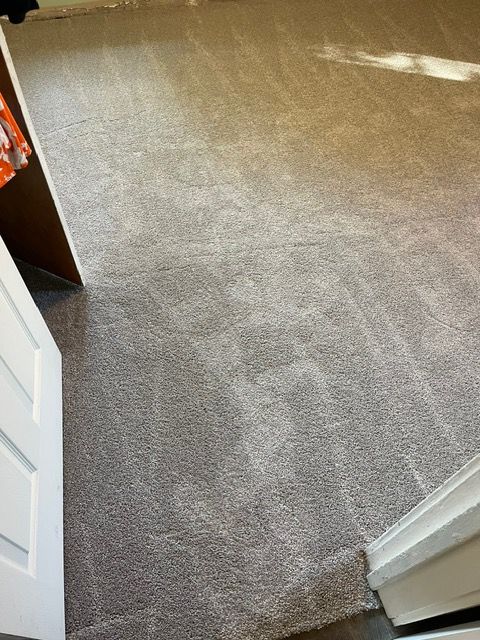A carpeted floor in a room next to a door.