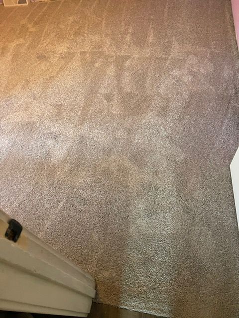 A close up of a carpeted floor in a room next to a door.