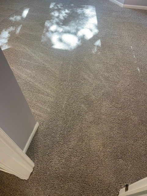 A close up of a carpeted floor in a room.