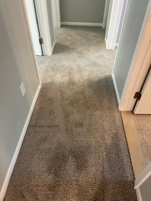 A hallway with a carpeted floor and gray walls in a house.