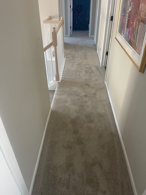 A hallway with a staircase and a picture on the wall.