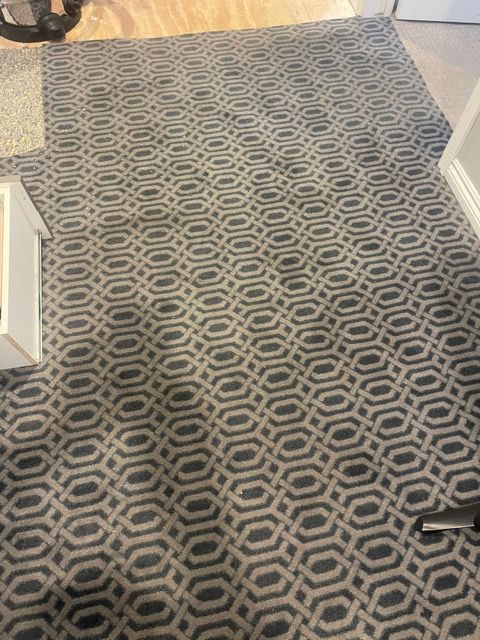 A carpet with a pattern on it is on the floor in a room.