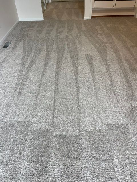 A close up of a carpeted floor in a living room.