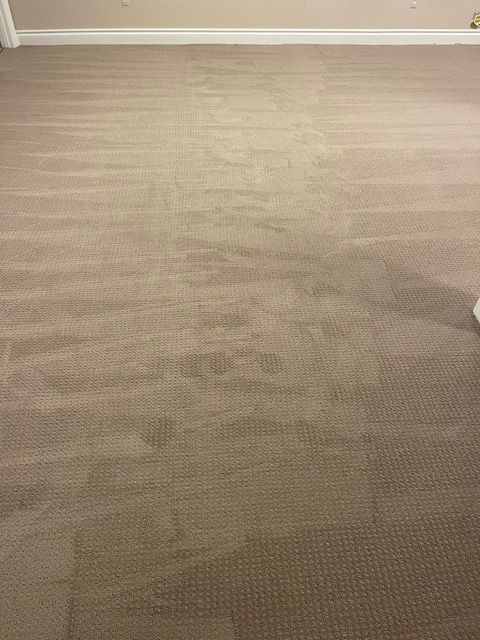 A room with a carpeted floor and a white wall.