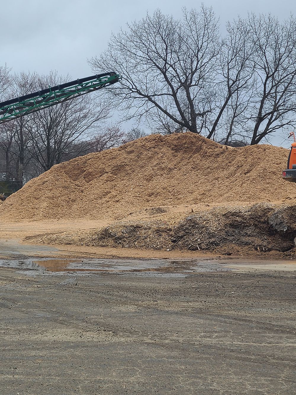A large pile of wood chips is sitting on top of a dirt field.