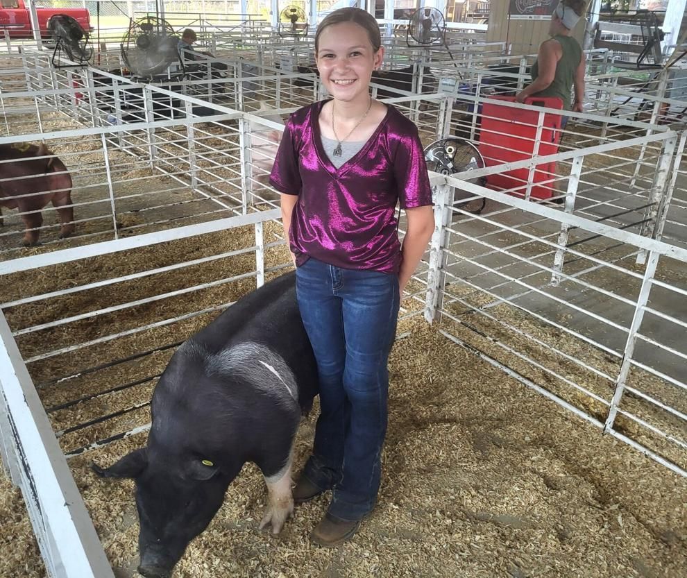 A young girl is standing next to a pig in a pen.