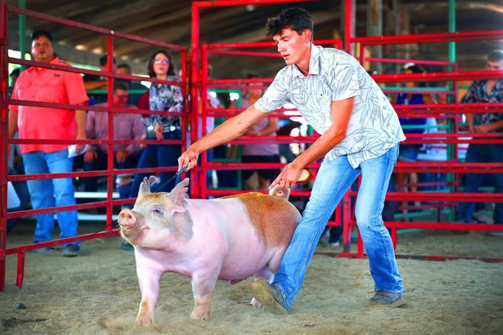 A man is holding a pig in a pen at a rodeo.