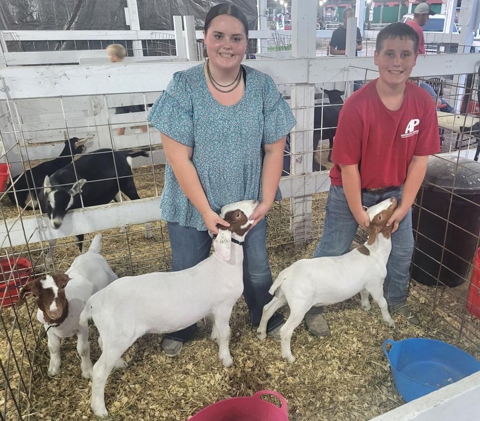 A boy and a girl are standing next to goats in a pen