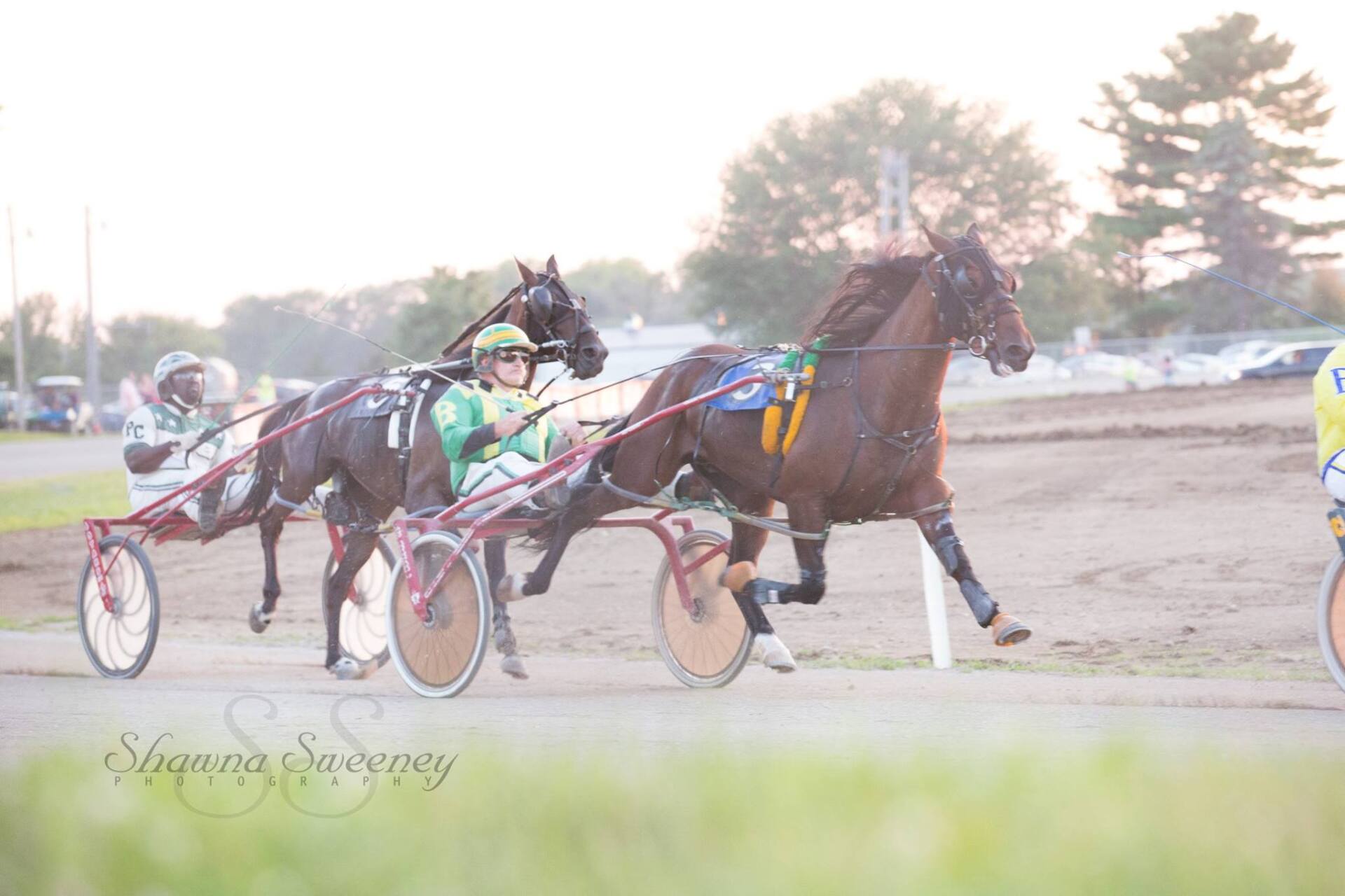 A man is riding a horse drawn carriage on a track.