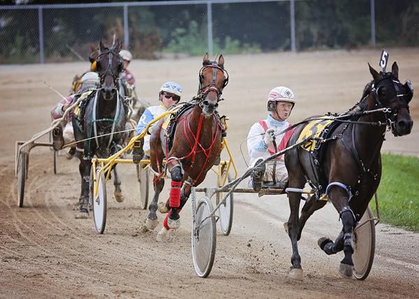 A group of horses are racing on a dirt track.