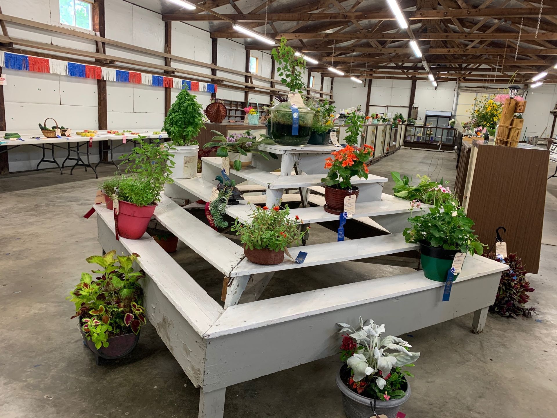 A table with potted plants on it in a room.