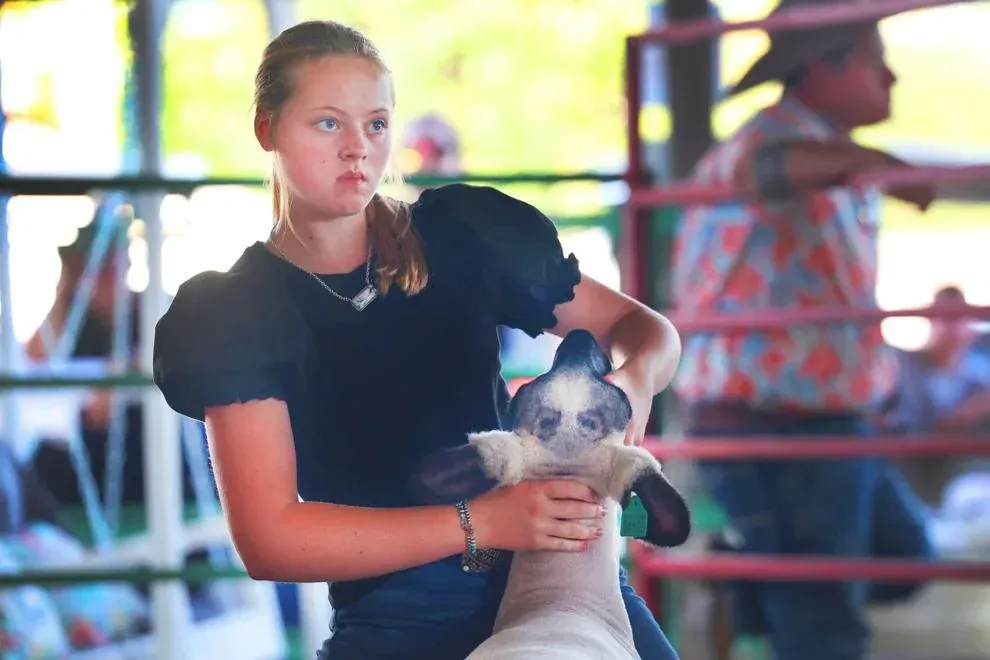 A young girl is holding a sheep in her arms at a fair.