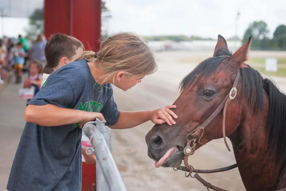 A boy and a girl are petting a brown horse.
