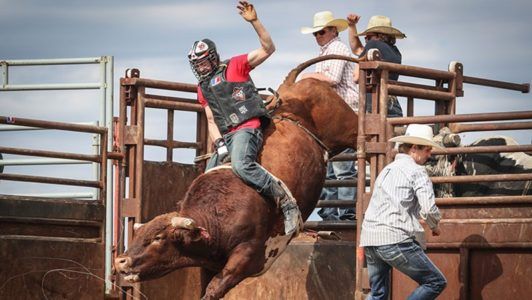 A man is riding a bull in a rodeo.