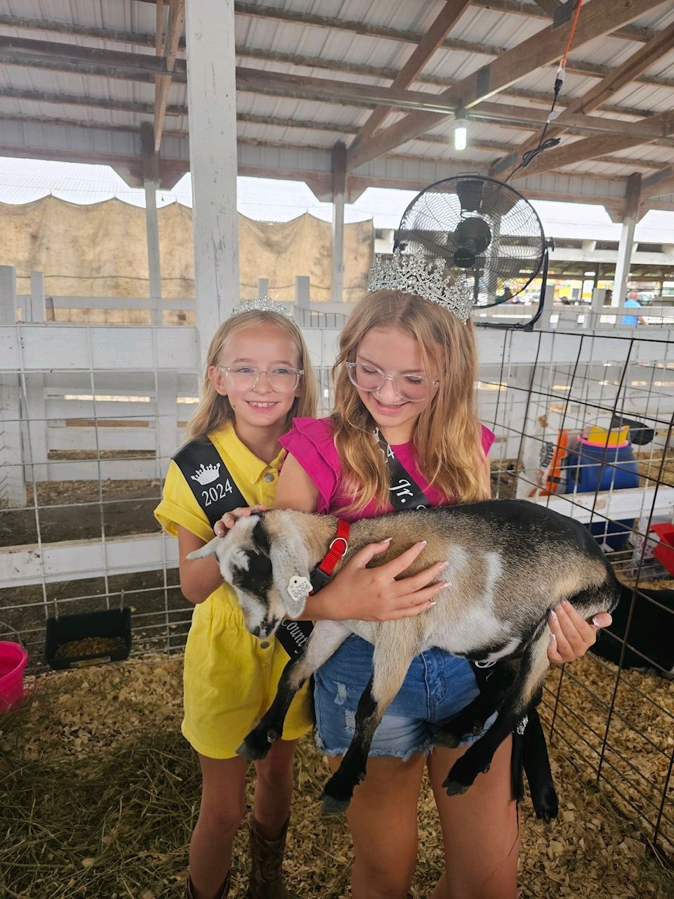 Two young girls are holding a small goat in a pen.