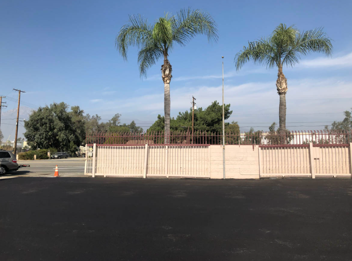 Empty parking lot with beige fence and two tall palm trees under a clear sky