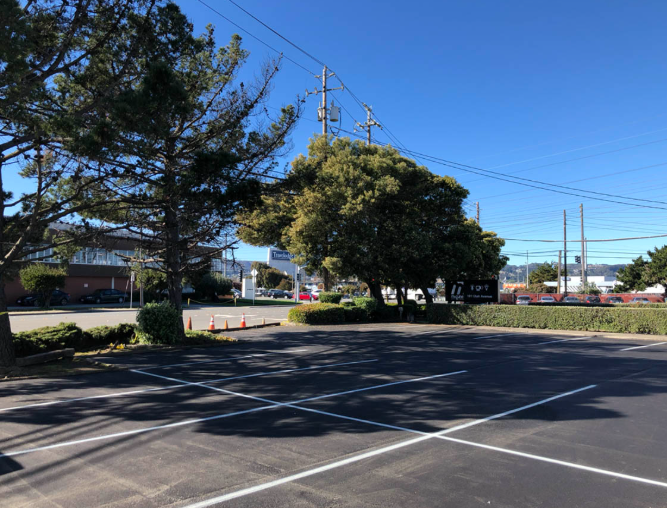 Empty parking lot with painted lines, trees, and a street under a clear blue sky