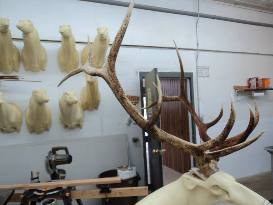 Mount Restoration | Cape Replacement | Galesville, WI