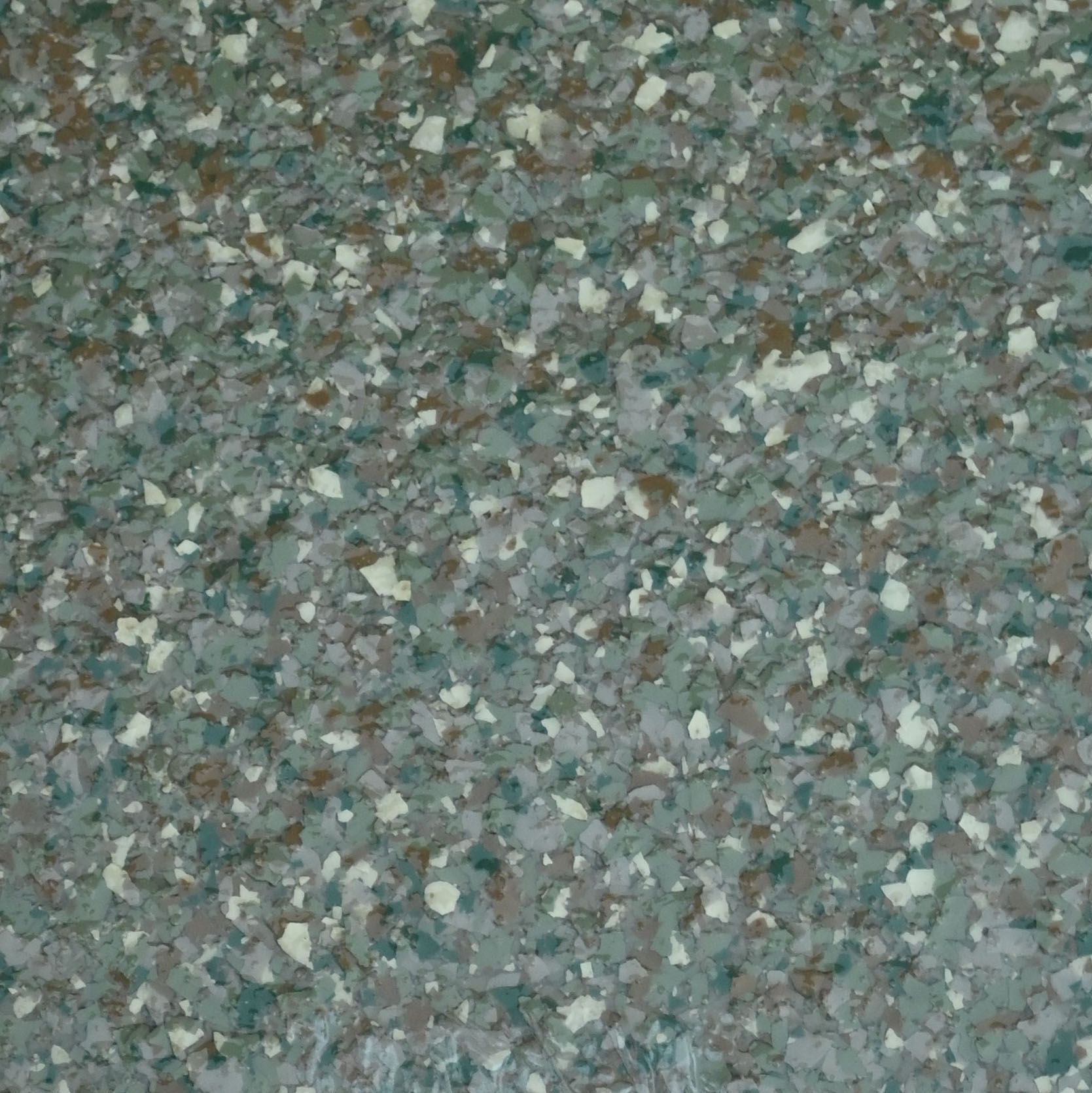 A piece of paper with the word forest on it