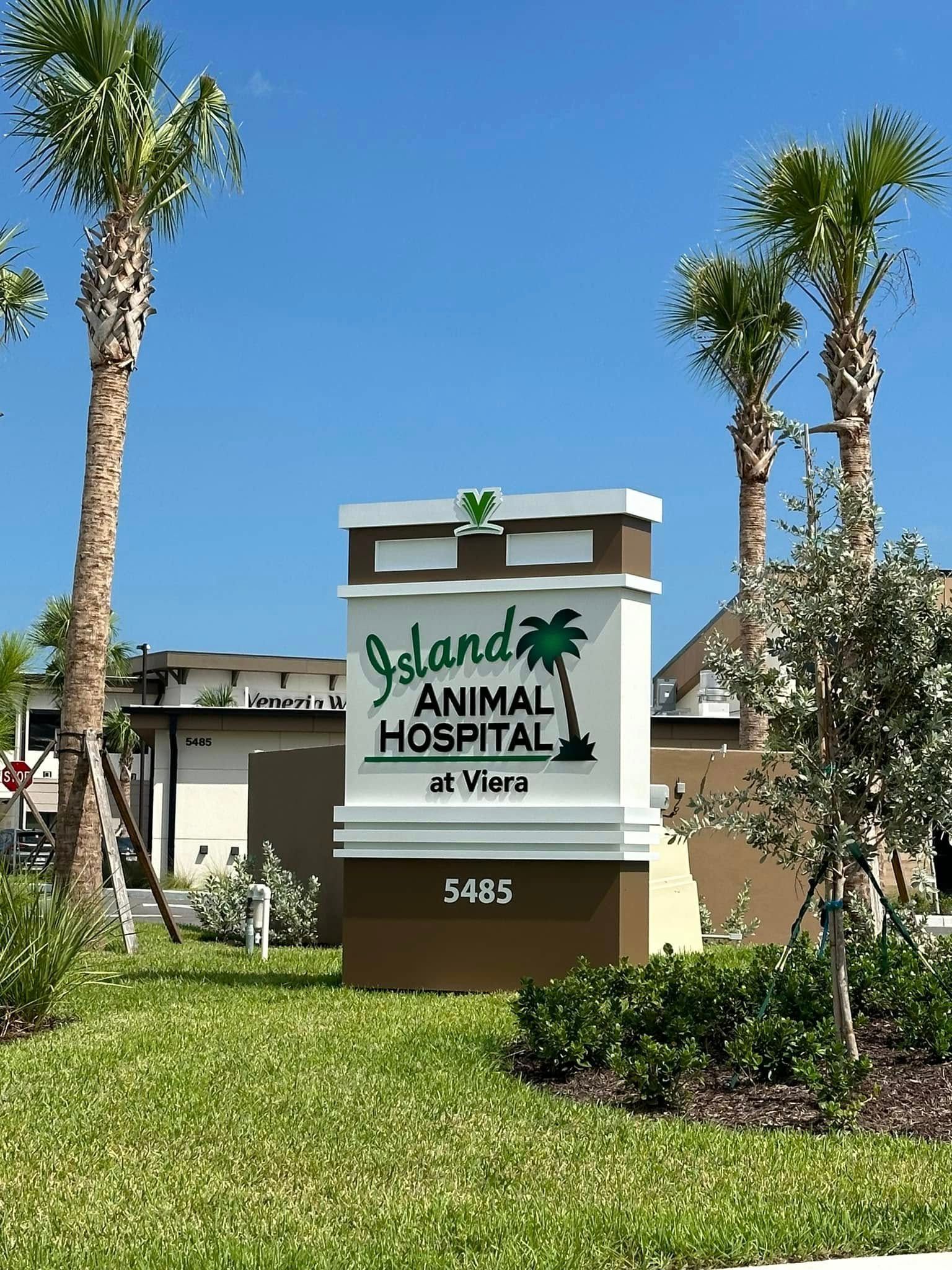 Animal hospital sign in front of a building, surrounded by palm trees and green landscaping.