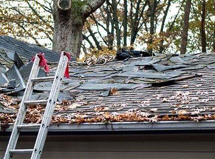 Broken roof shingles with a ladder leaning against the house under a large tree