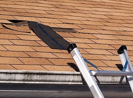 Ladder leaning against a shingled roof with a dark patch near the top left.