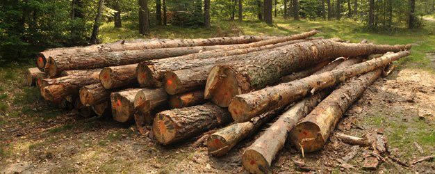 Land clearing