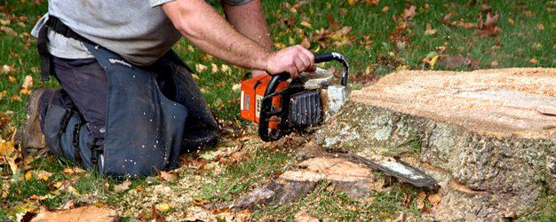 Stump removal