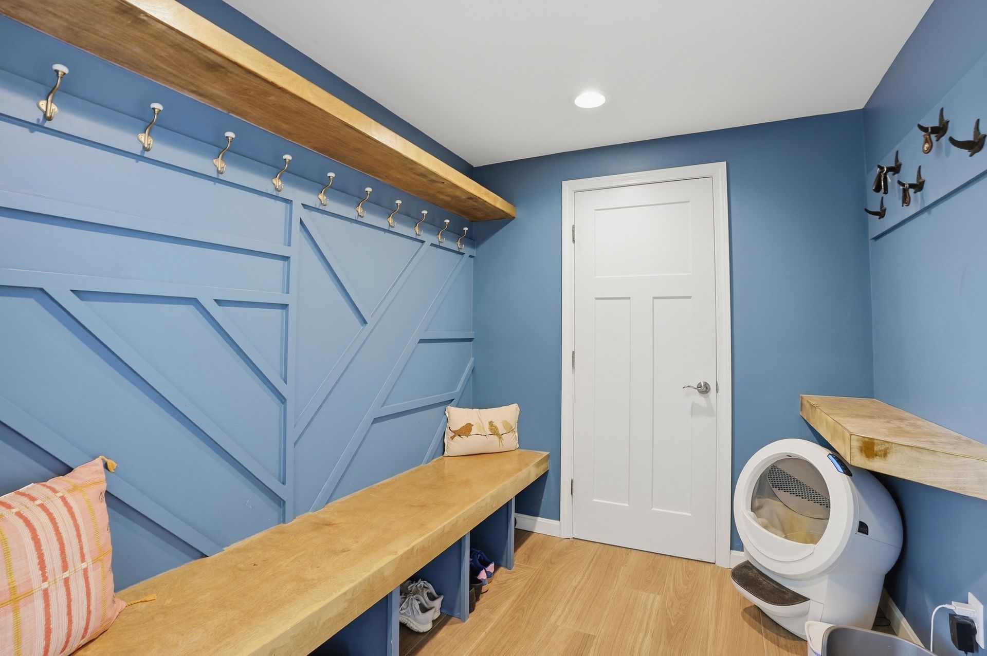 Blue pet grooming room with wooden platforms, white door, and a cat on the bench