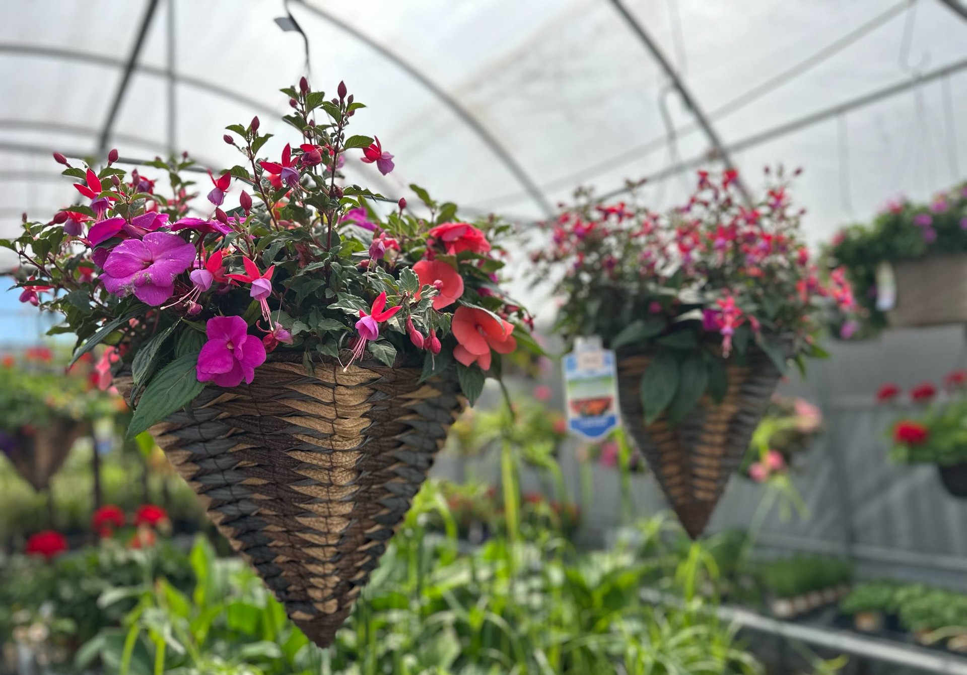 A bunch of pumpkins are sitting on top of a wooden table.