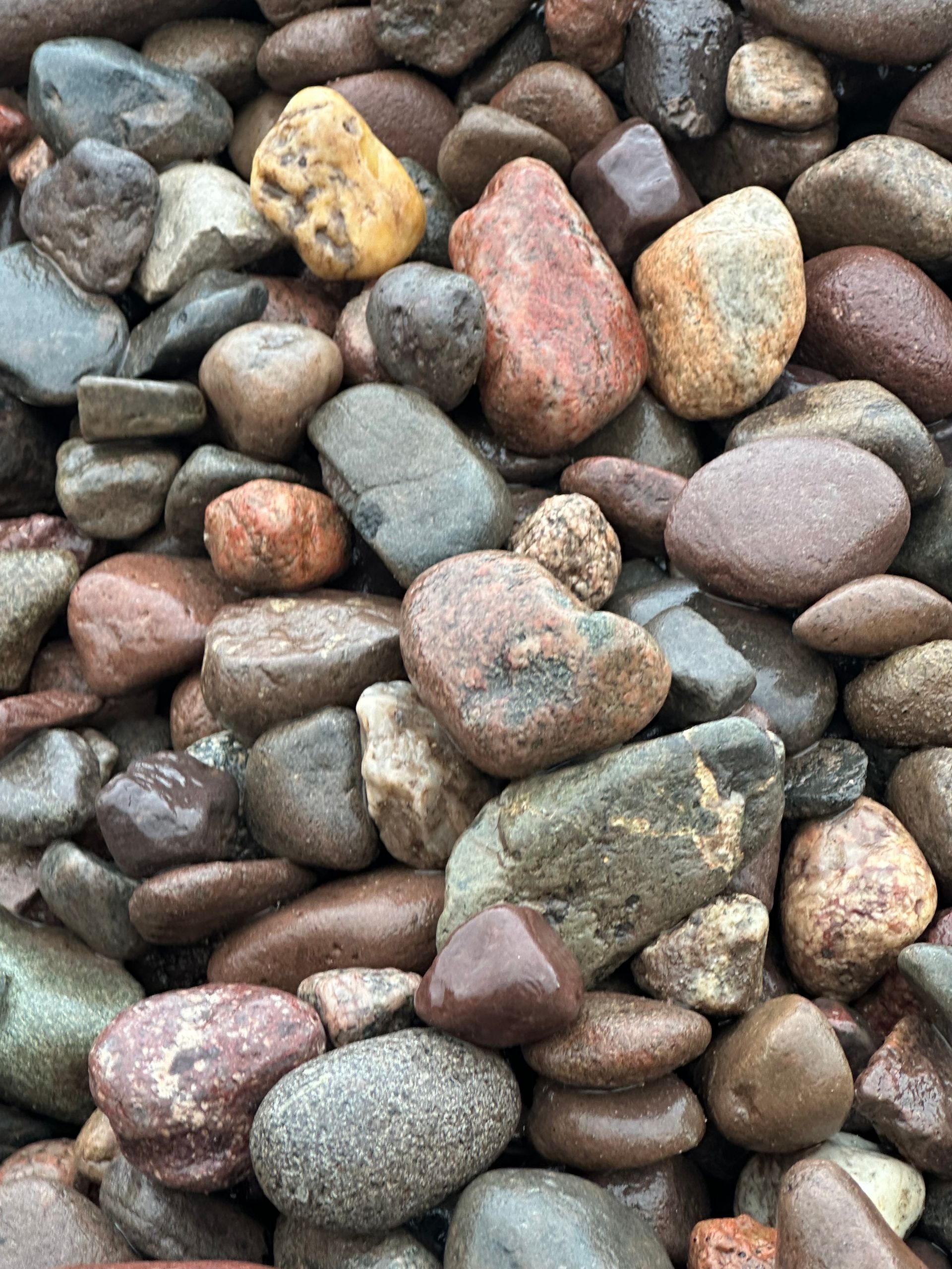 Large Mississippi Rock (1'-2