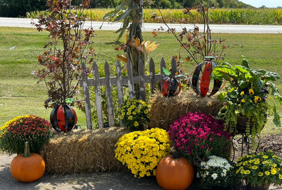 There are many different types of potatoes on the shelves.