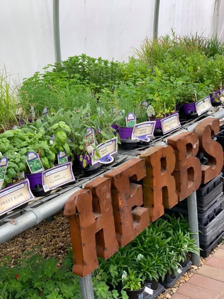 A greenhouse filled with potted plants and a sign that says herbs.