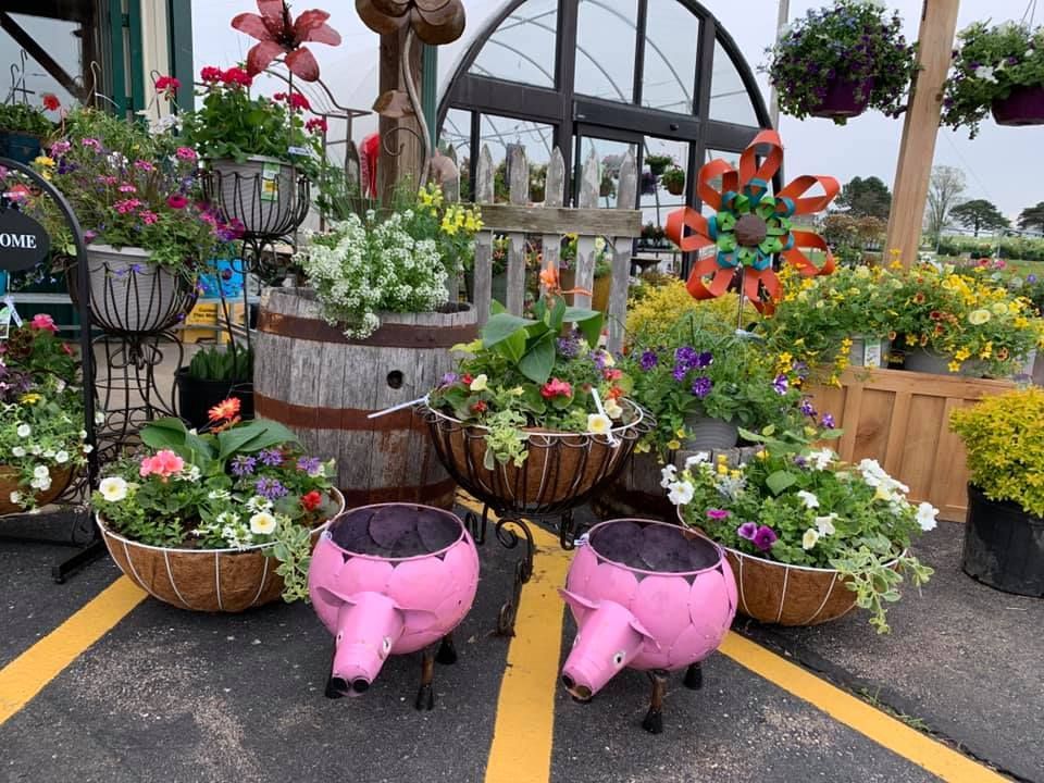 A display of pink pig planters filled with flowers in a parking lot.