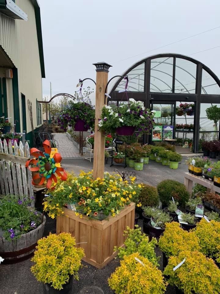 A greenhouse filled with lots of potted plants and flowers