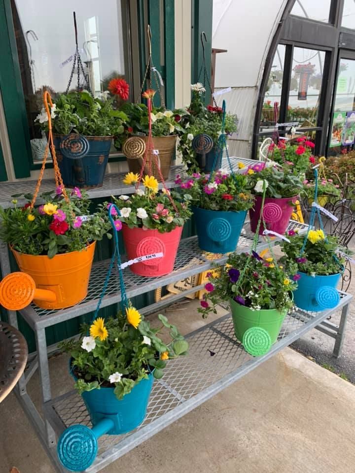 A shelf filled with watering cans filled with flowers.