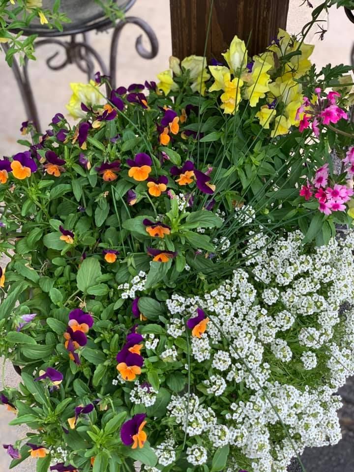 There are many different types of flowers in this pot.