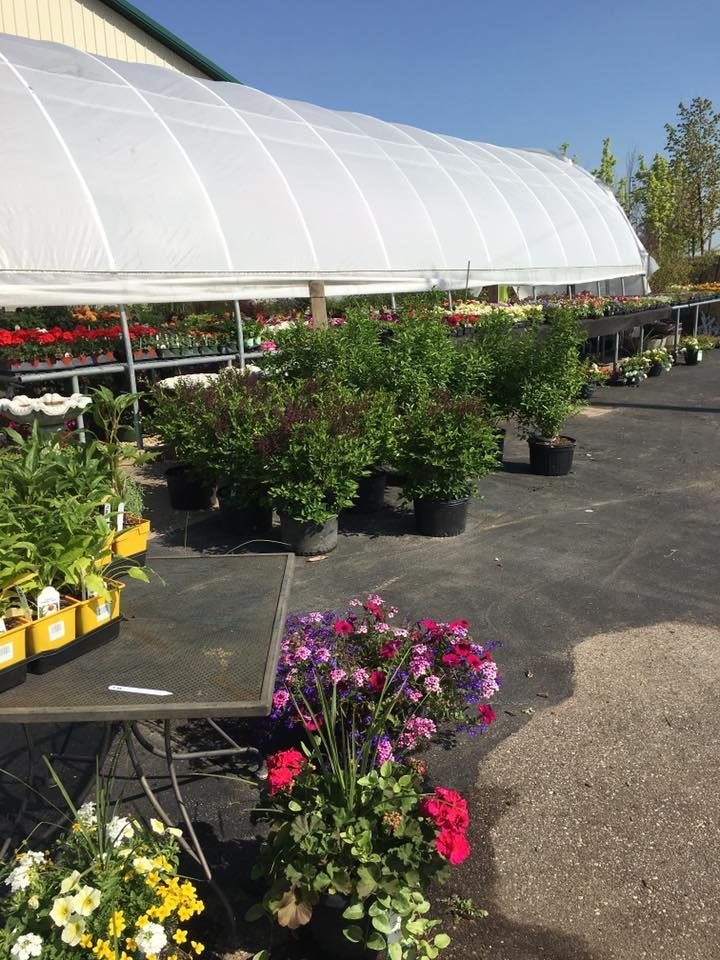 A greenhouse filled with lots of potted plants and flowers.