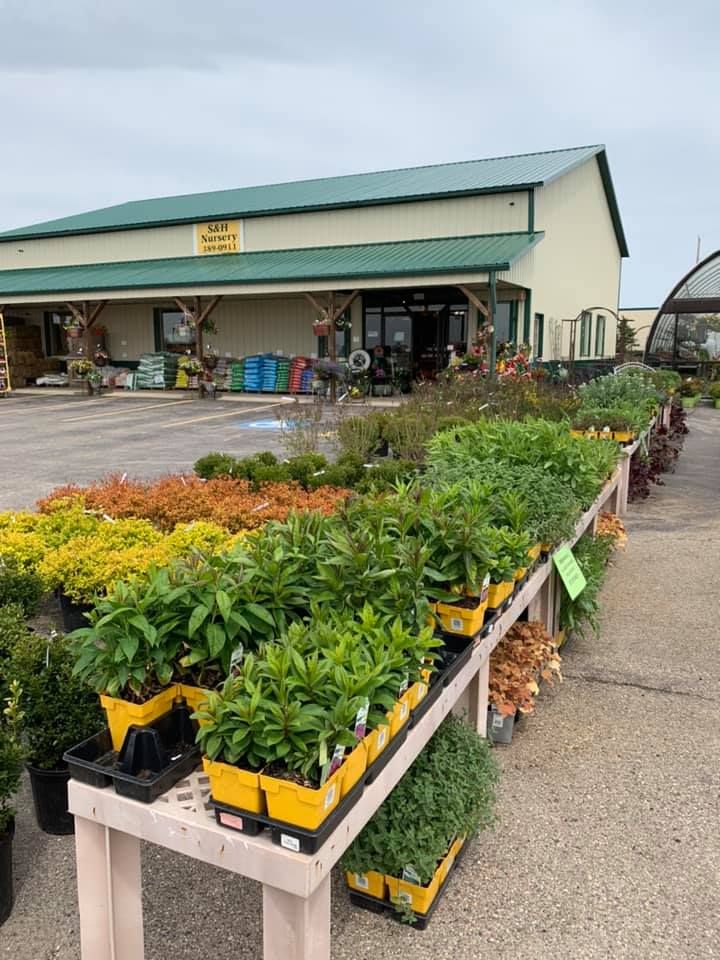 A bunch of potted plants are sitting on a table in front of a building.