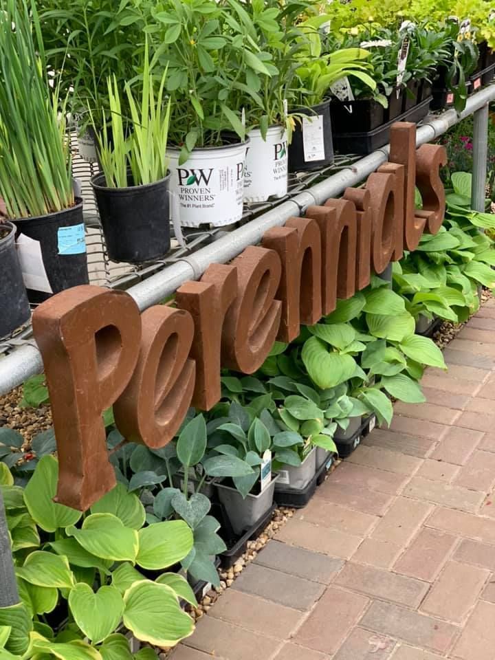 A sign that says perennials is surrounded by potted plants.