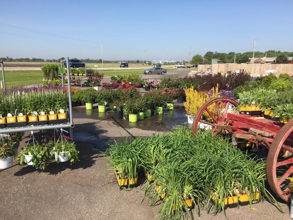 A bunch of potted plants are sitting on the ground in a garden.