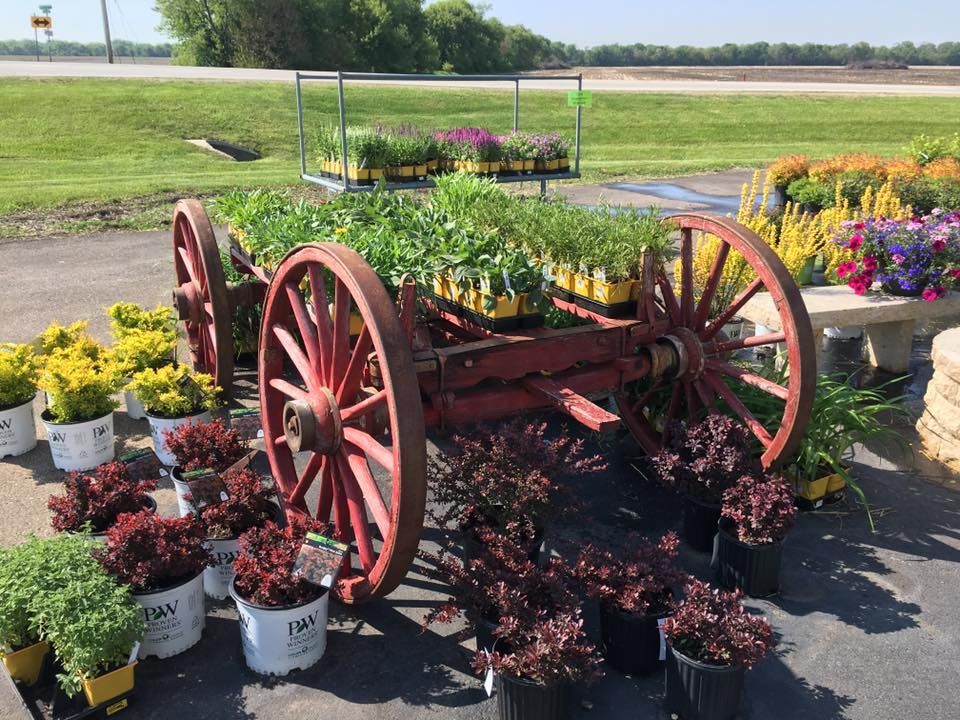 A wagon filled with potted plants is sitting in a parking lot.